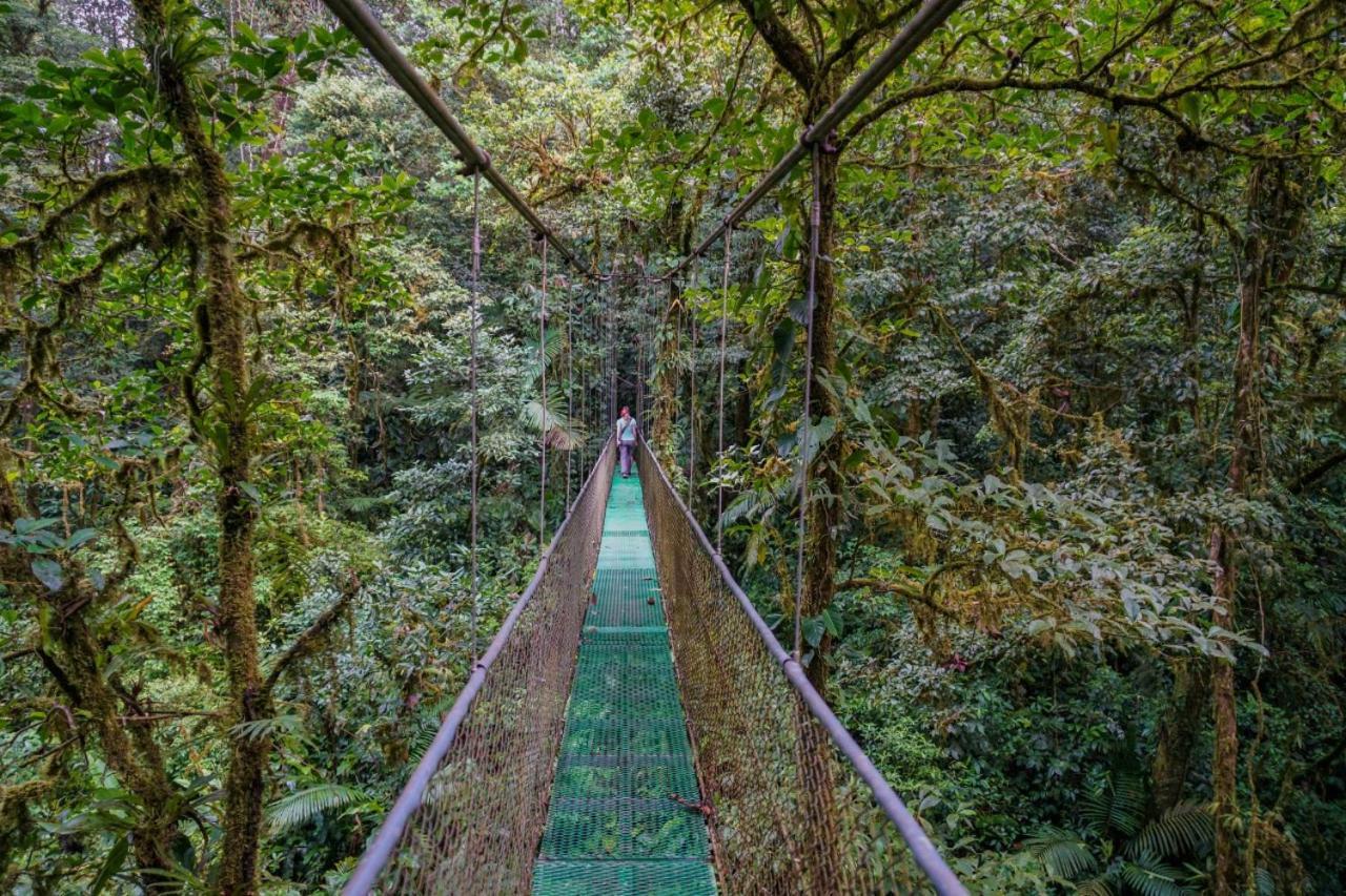 Heliconias Rainforest Lodge บิฆากัว ภายนอก รูปภาพ