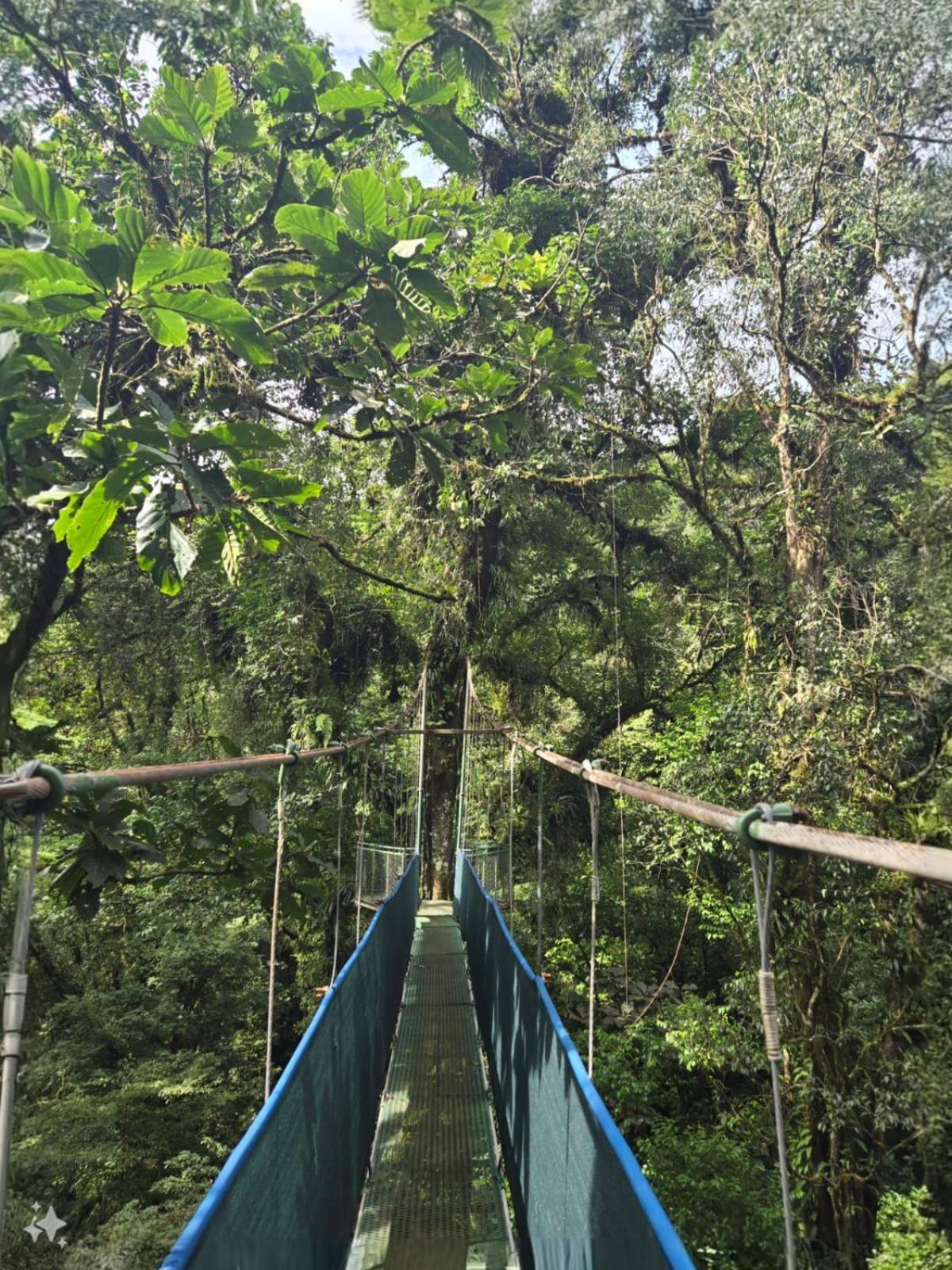 Heliconias Rainforest Lodge บิฆากัว ภายนอก รูปภาพ