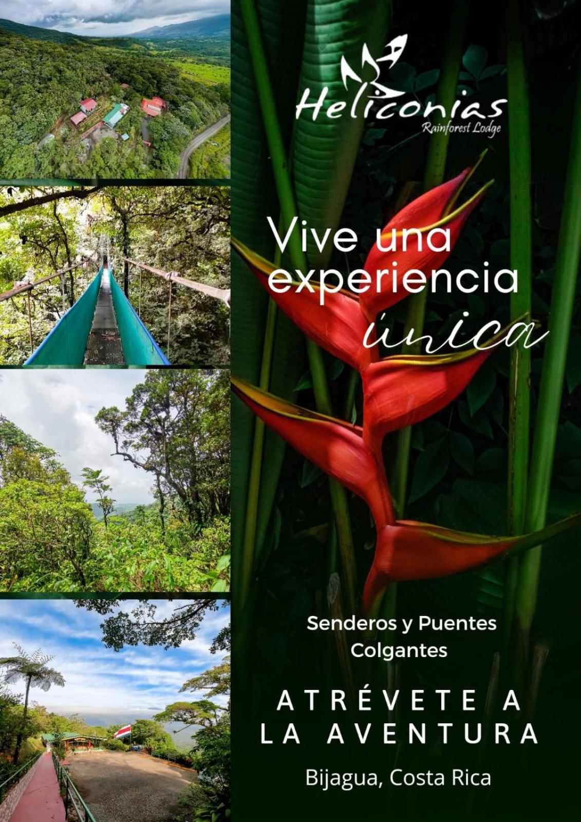 Heliconias Rainforest Lodge บิฆากัว ภายนอก รูปภาพ