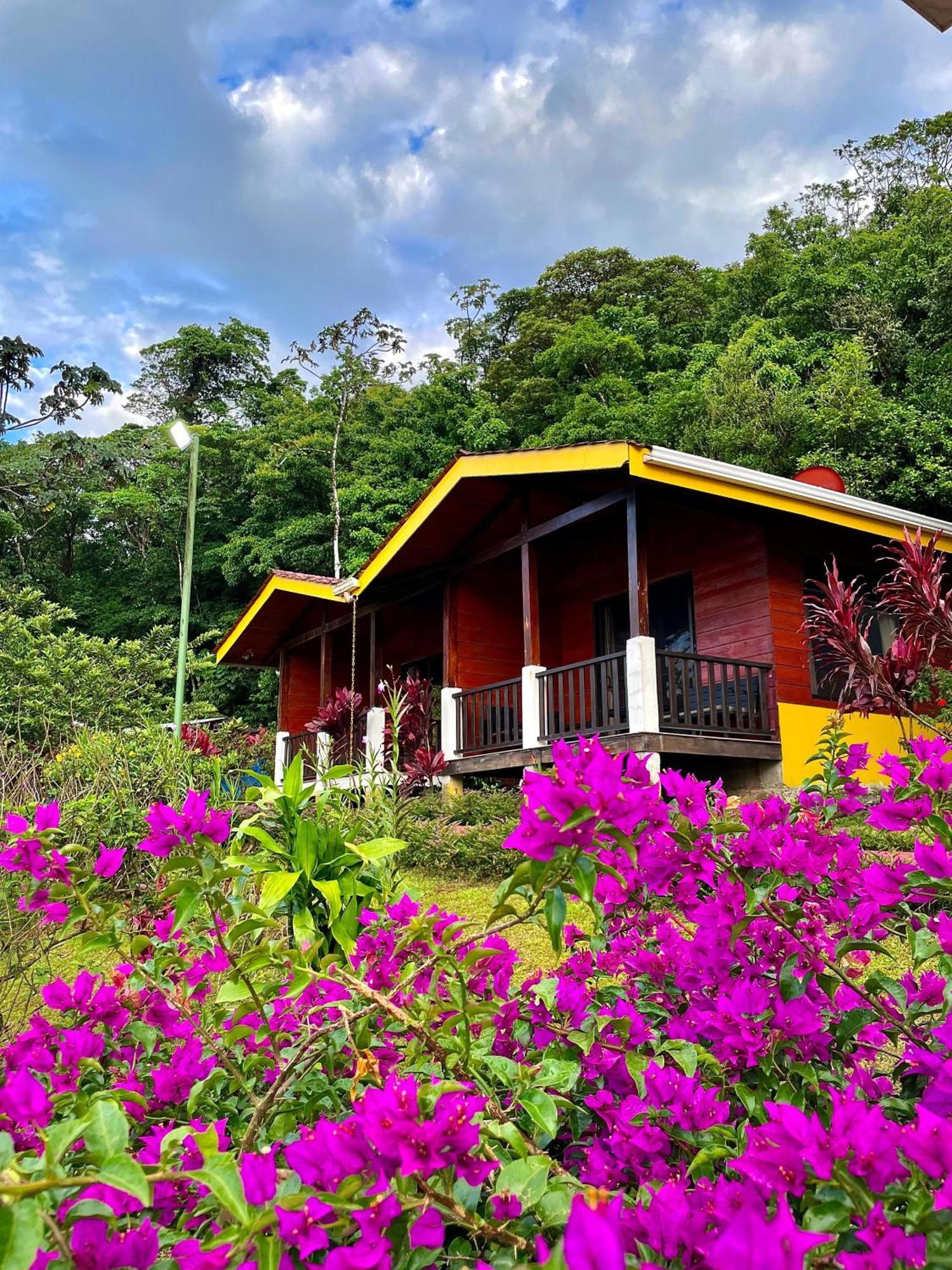 Heliconias Rainforest Lodge บิฆากัว ภายนอก รูปภาพ