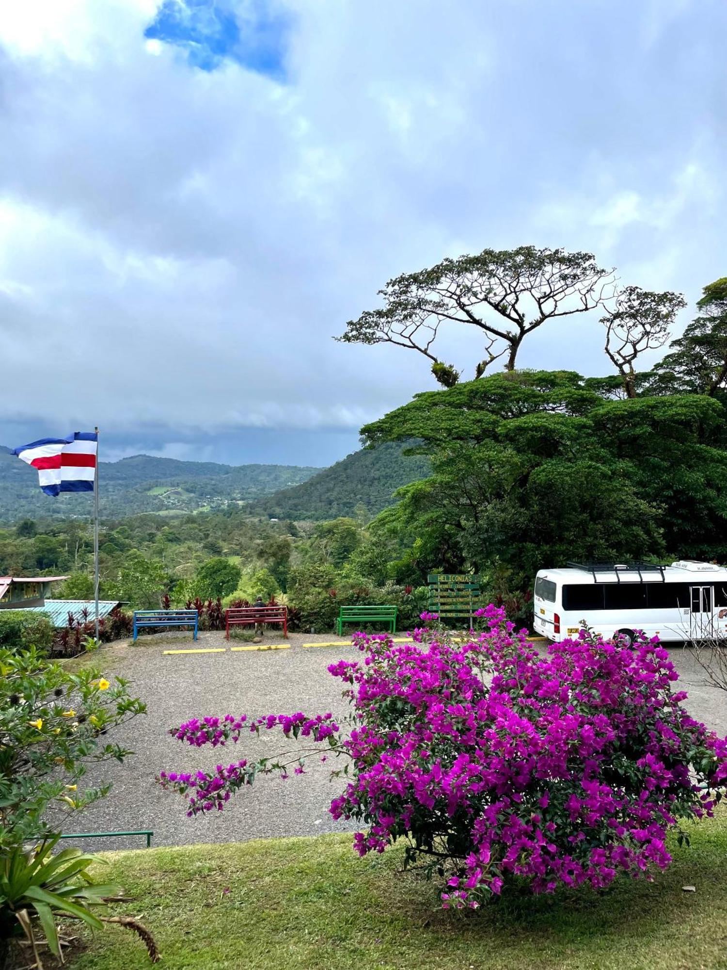 Heliconias Rainforest Lodge บิฆากัว ภายนอก รูปภาพ
