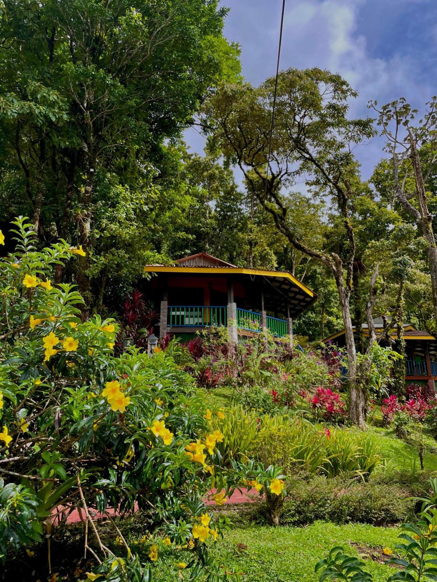 Heliconias Rainforest Lodge บิฆากัว ภายนอก รูปภาพ