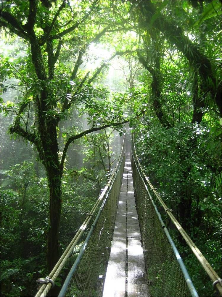 Heliconias Rainforest Lodge บิฆากัว ภายนอก รูปภาพ